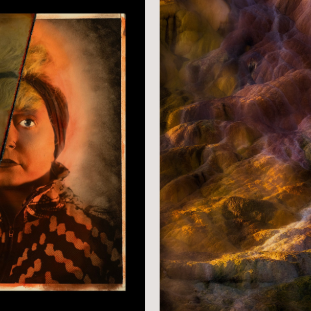 DISCERNING EYE, Art Review by Mark Jenkins: PORTRAITS OF LIFE AND LAND 