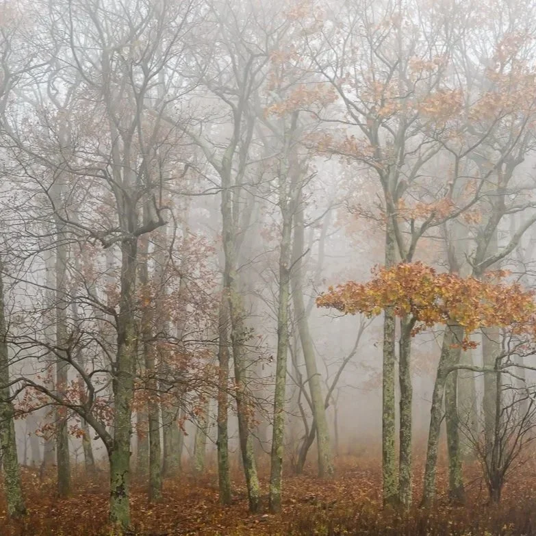 REVISITED, a solo fine art photography exhibition by Stacy Smith Evans