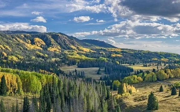 Seven Standout Photography Exhibits of 2023: Louis Jacobson, City Paper’s photography critic