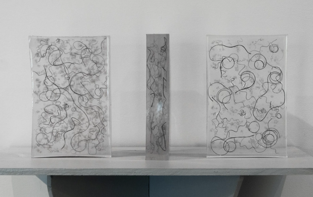 Sarah Hood Salomon Named CRITICAL MASS Finalist