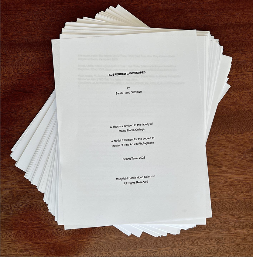 Advancing Her Vision: Sarah Hood Salomon