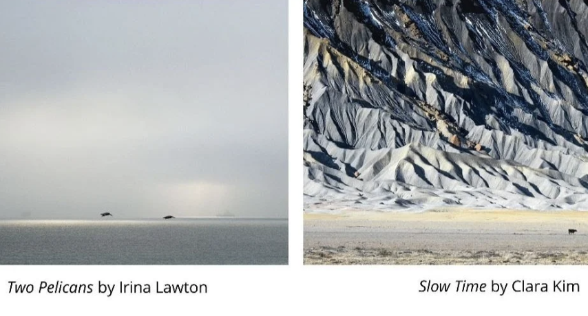 "INTERNAL LANDSCAPE" a New Member Exhibition featuring artists  Irina Lawton and Clara Young Kim