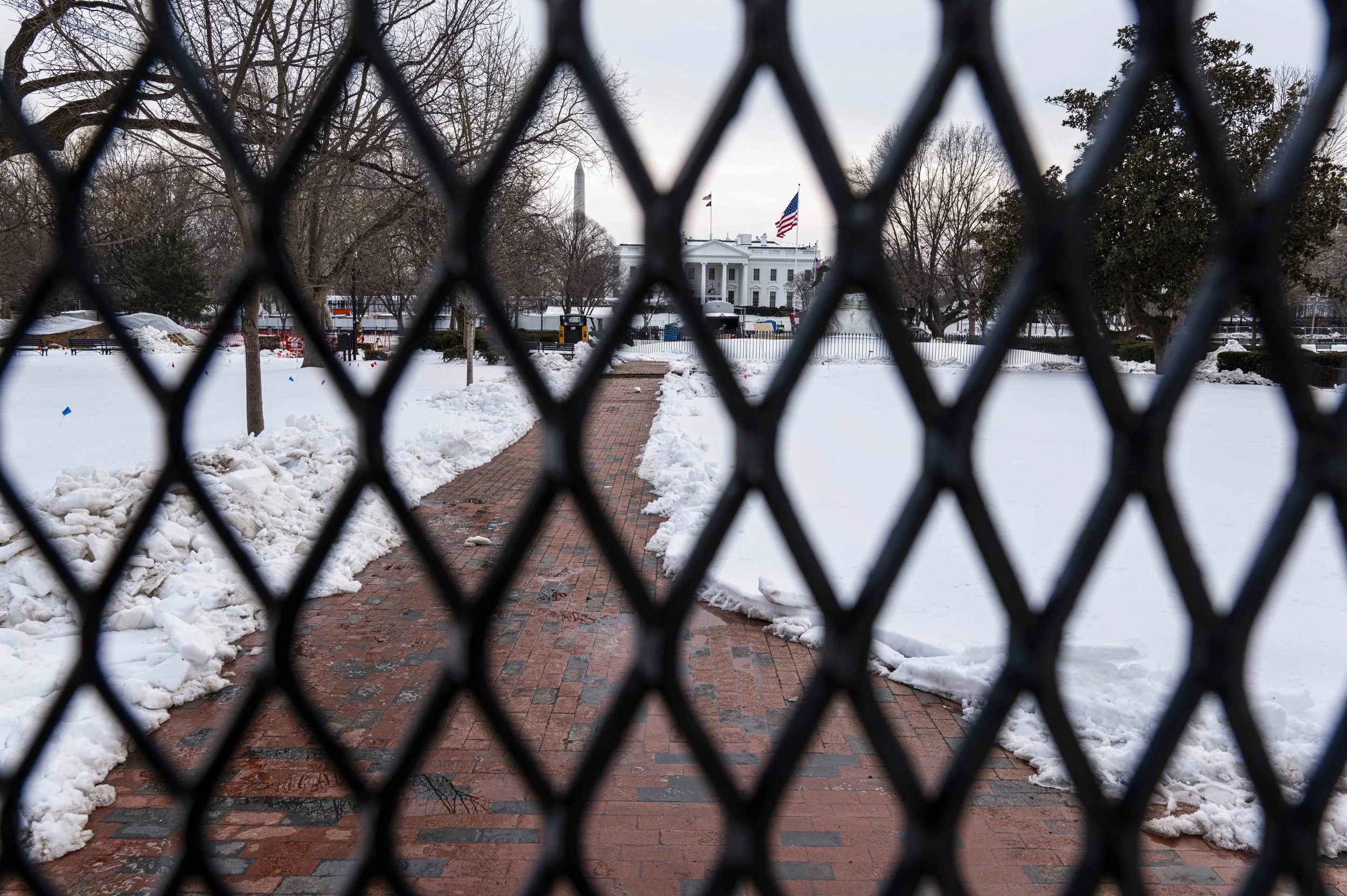 Discerning Eye Reviews AMERICA 250