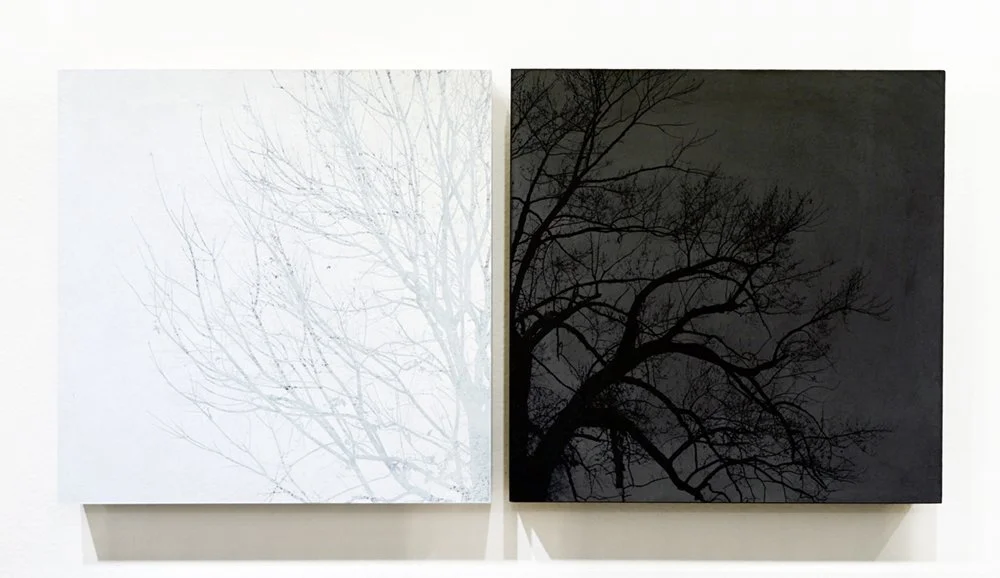 Lenscratch featuring Soomin Ham: In Gray by Sandy Sugawara