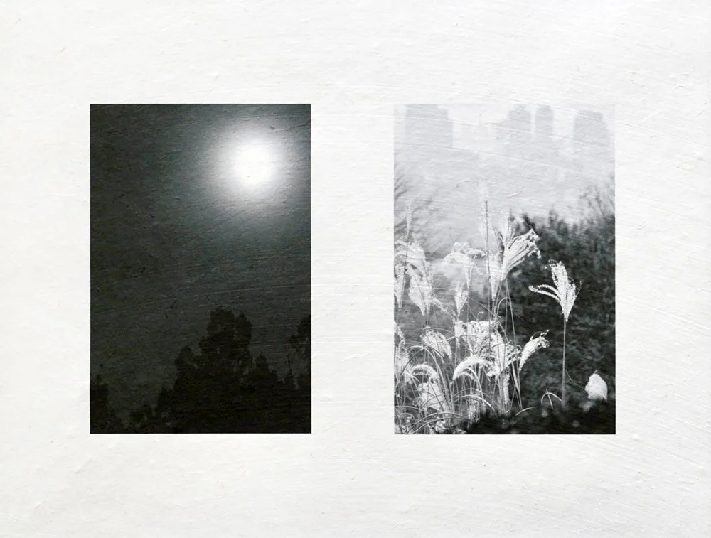 Diptych Series #5