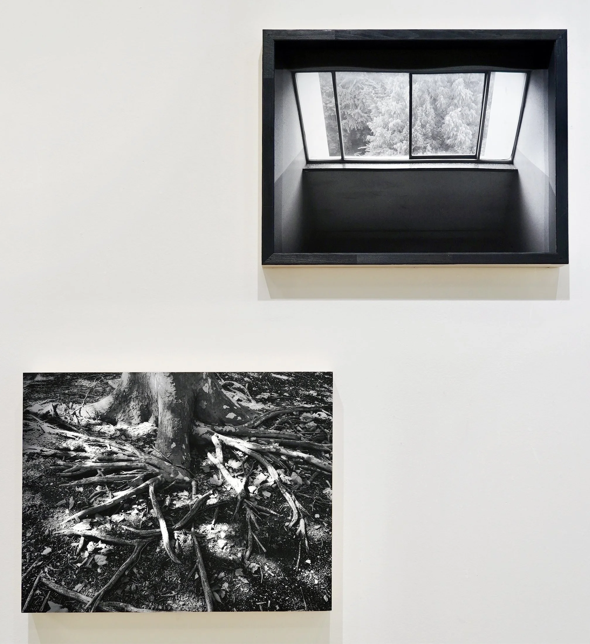Recollections_Revisited #1, #5