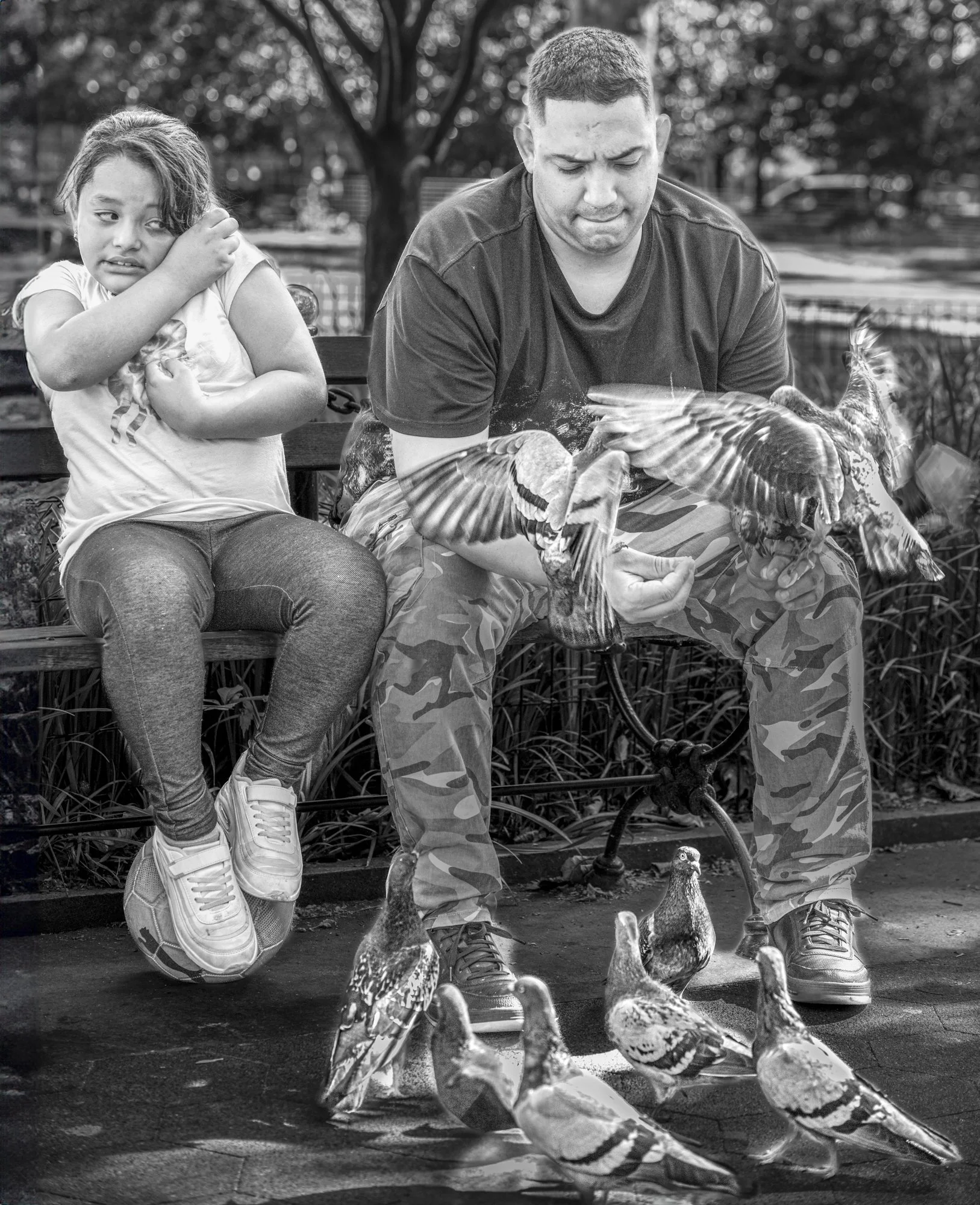 Sislen-Pigeon Frenzy