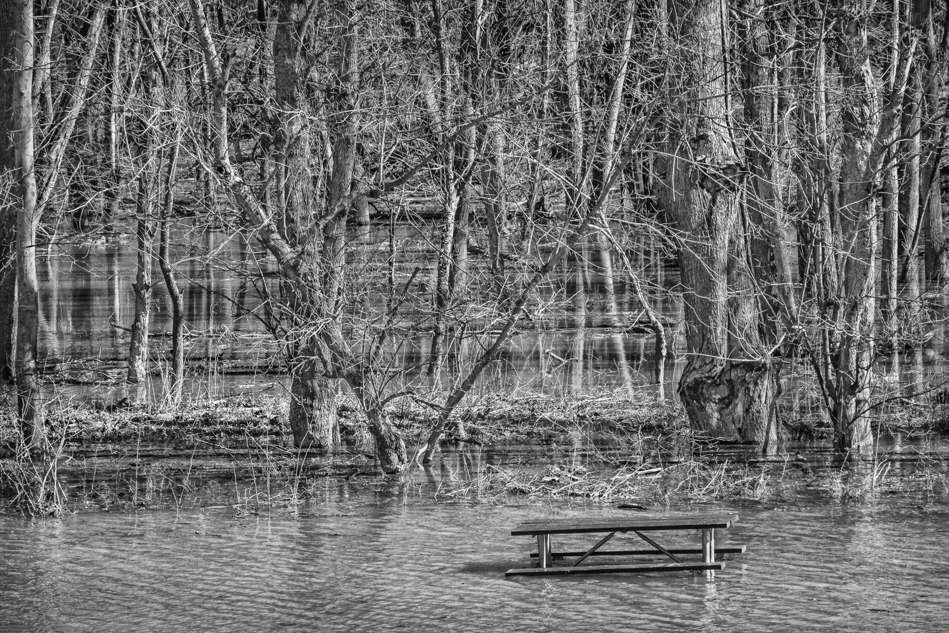 Salomon - Yesterday's Picnic