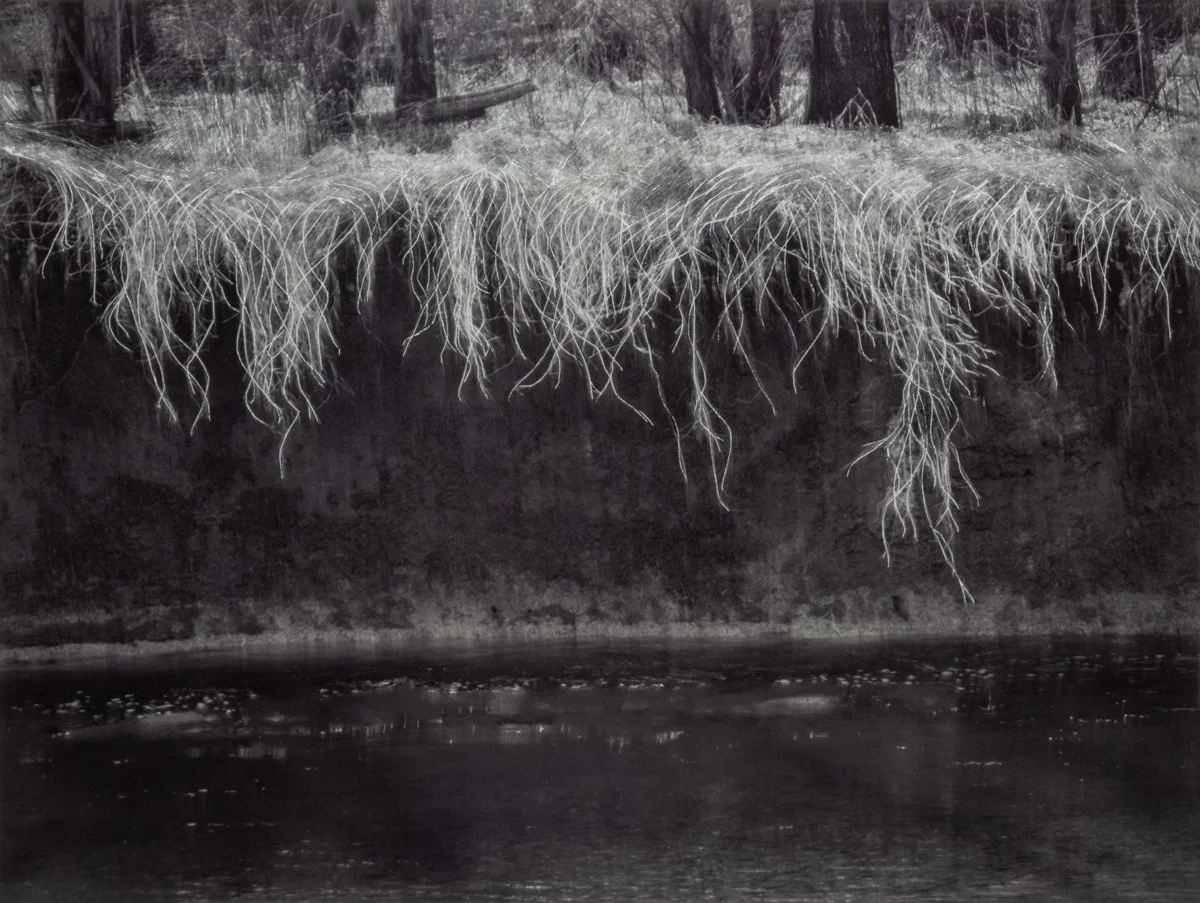 Questioning the Photograph I Sarah Hood Salomon I May 21 - June 30, 2024