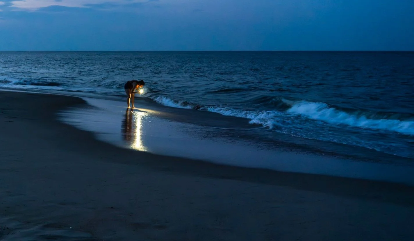 QUIET MOMENTS I Juror: Frank Van Riper I January 7 - 26, 2025