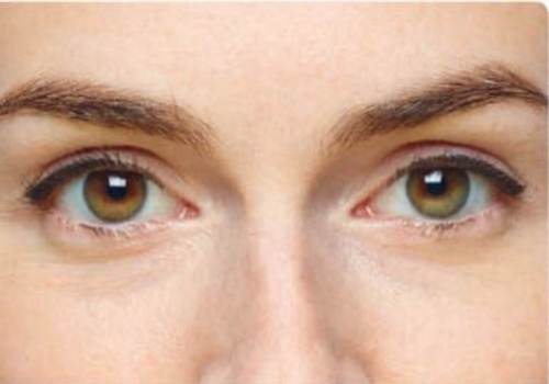 From The Daily Face by Anna-Marie Tendler.