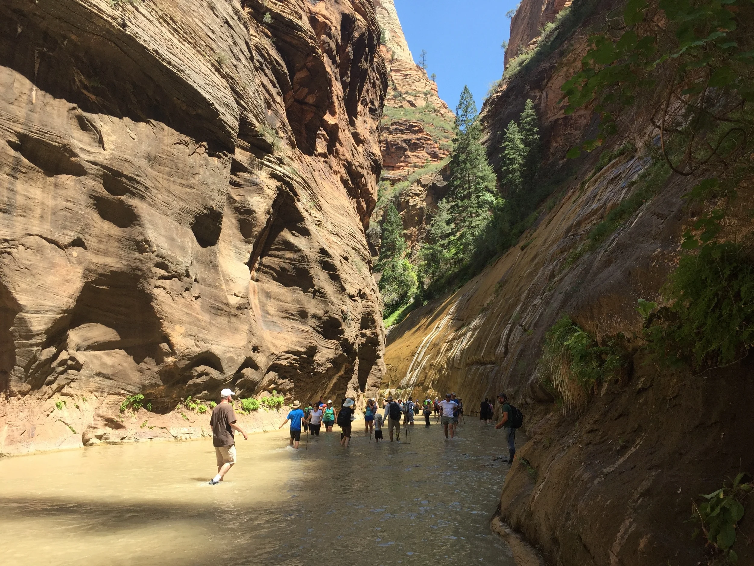 Zion National Park