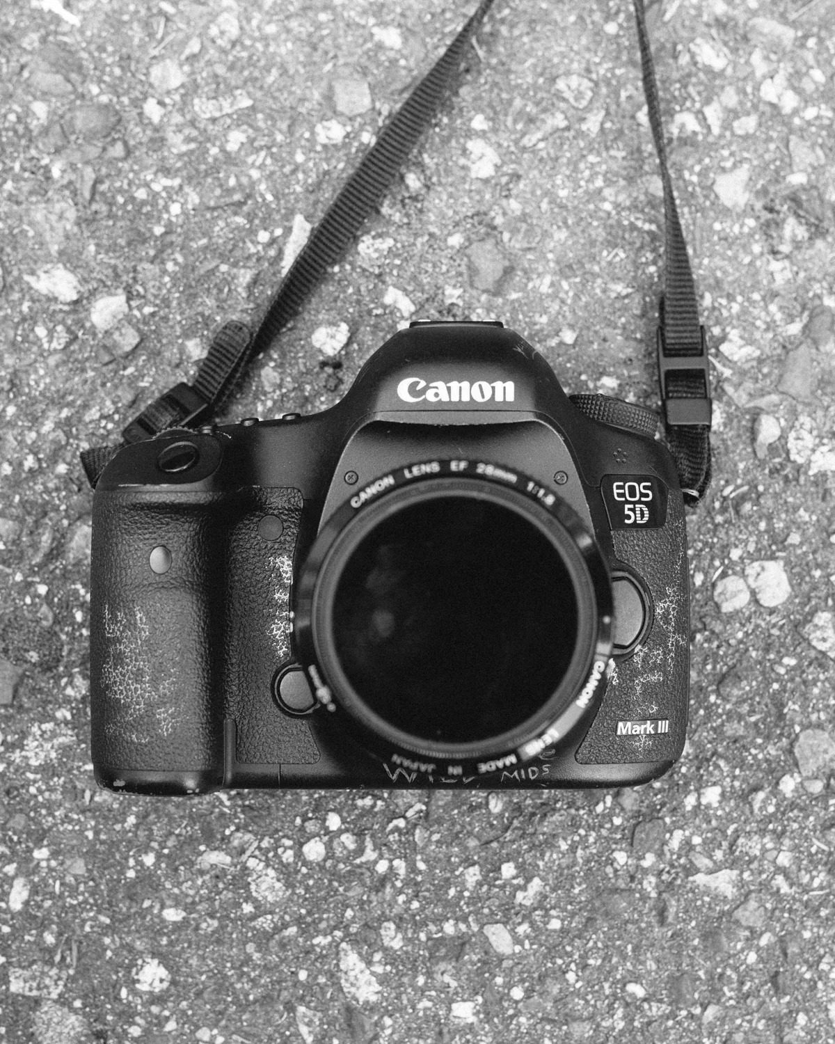 lamb camera-1.jpg
