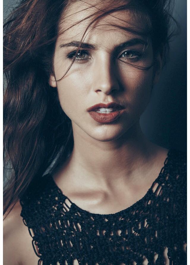 model.jpg
