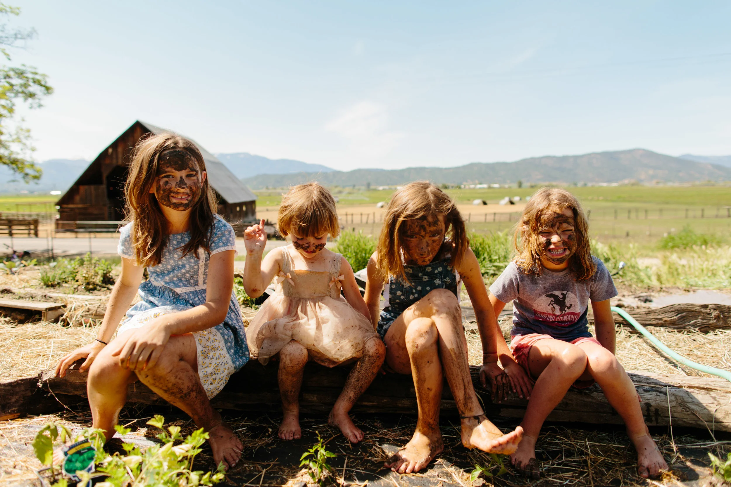 Five Marys Farm - edited images-0134.jpg