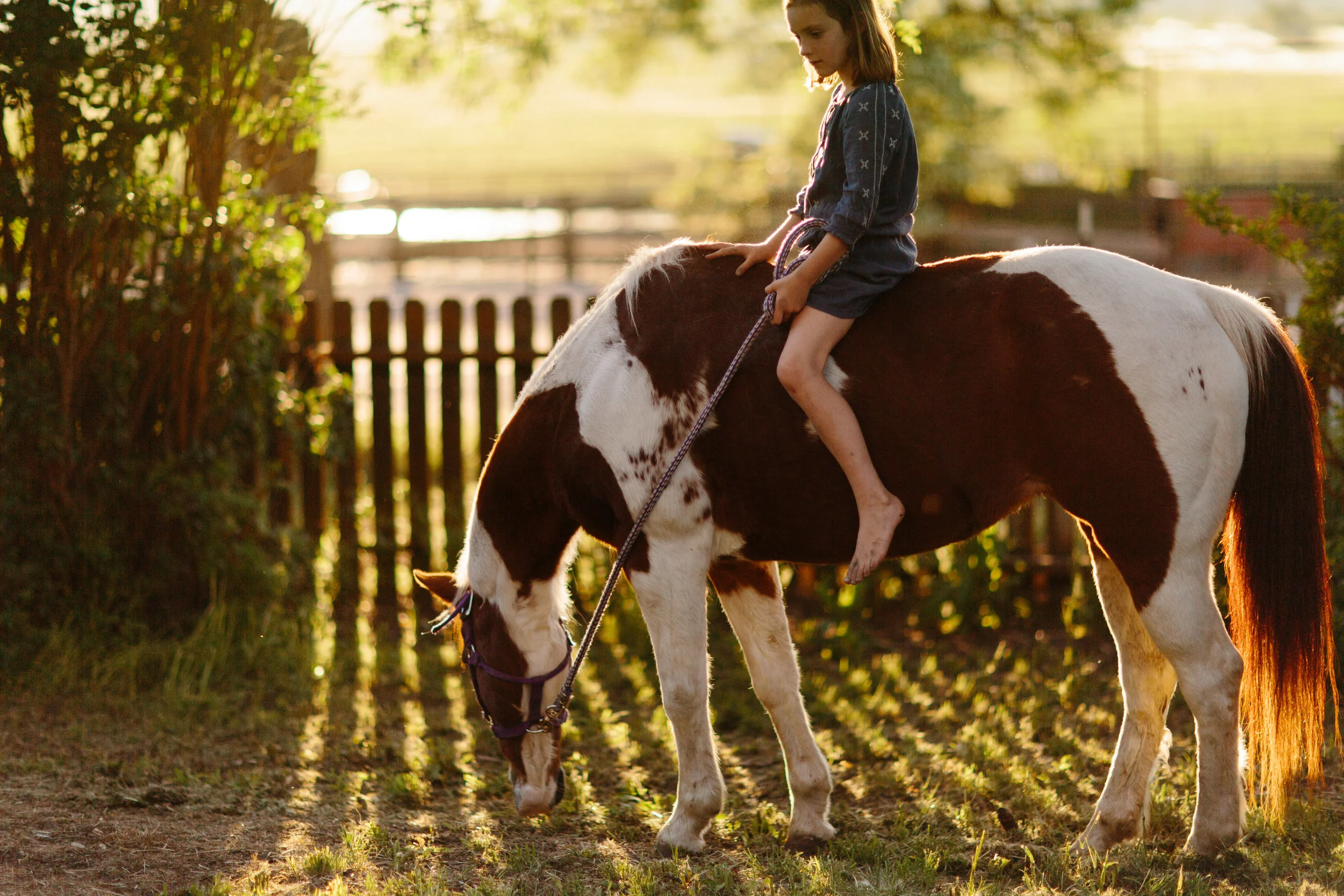 Five Marys Farm - edited images-0233.jpg