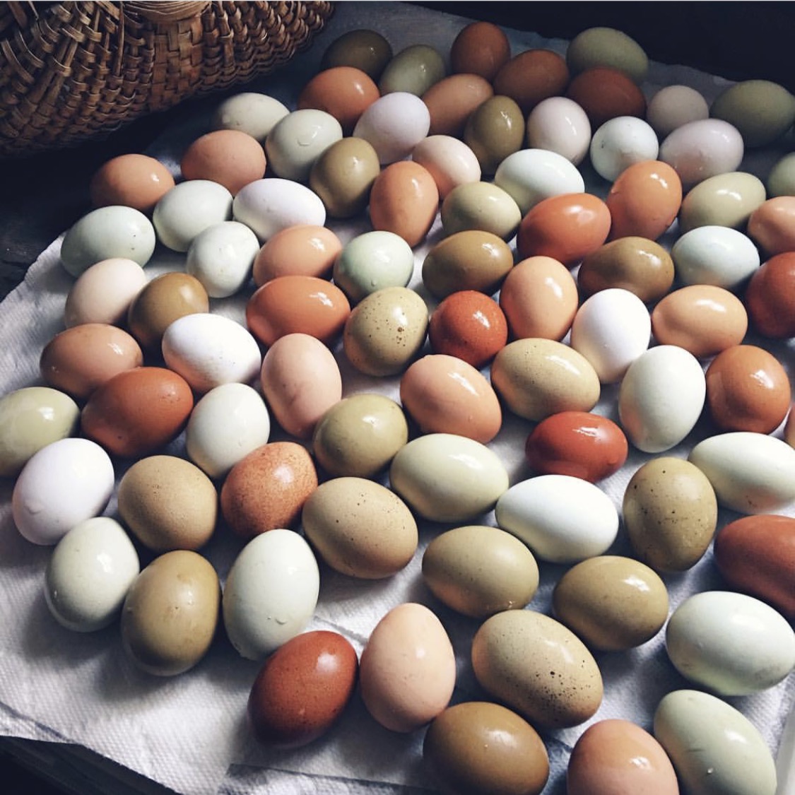 Five Marys "Easter" eggs - in their natural colors and hues!