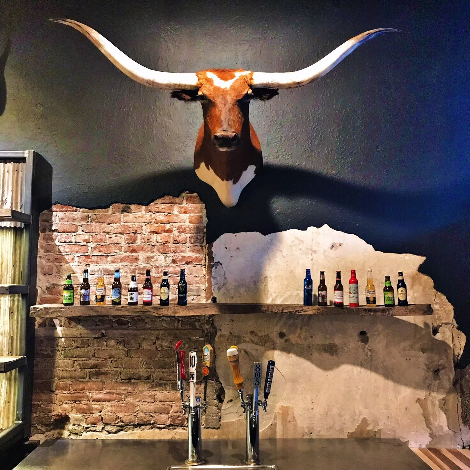 burgerhouse steer.jpeg