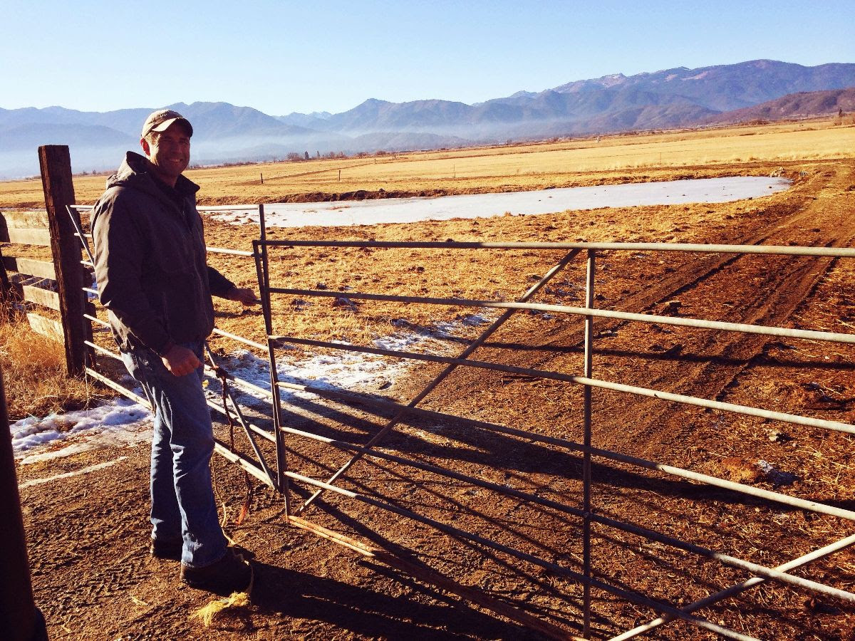 brian open fence rrr.jpg