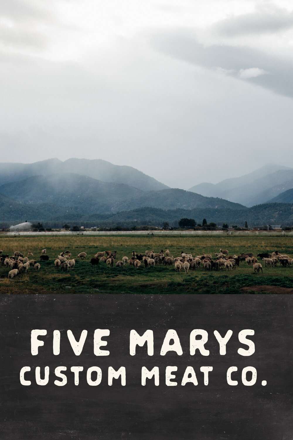 Five Mary's Custom Meat Co.jpg
