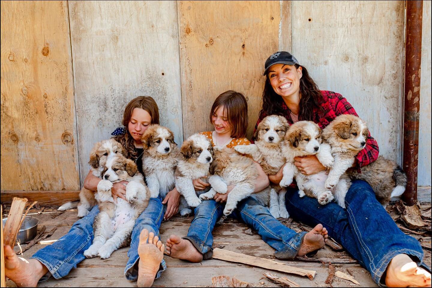 It&rsquo;s not going to be easy to say goodbye to these sweet pups today!! But they are eight weeks old now, starting to roaming around the ranch and driving Bitsy bonkers.🤪

They are seriously the cutest, chunkiest fluff balls ever and have been so
