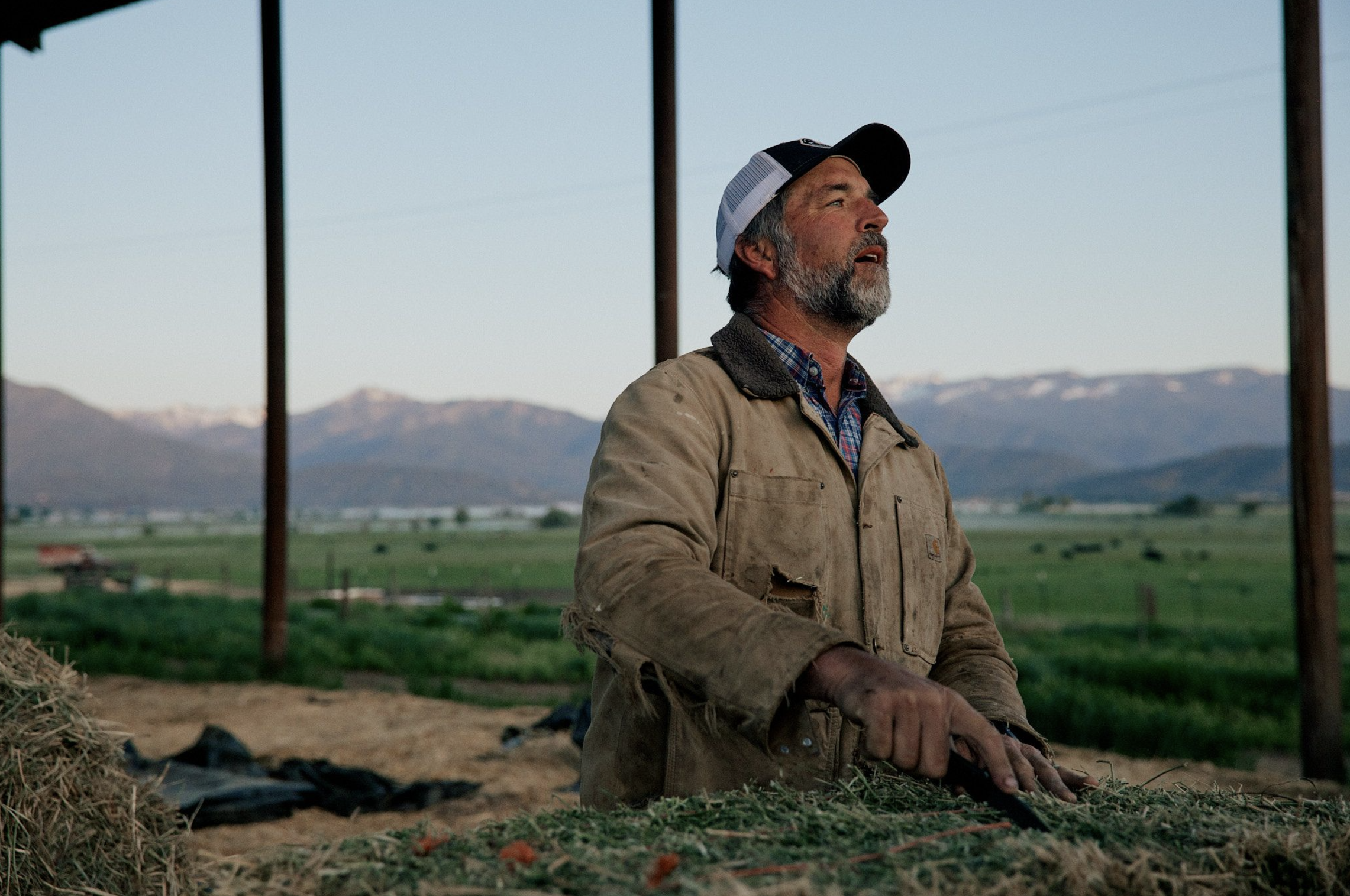 Five Marys Ranch brian chores.png