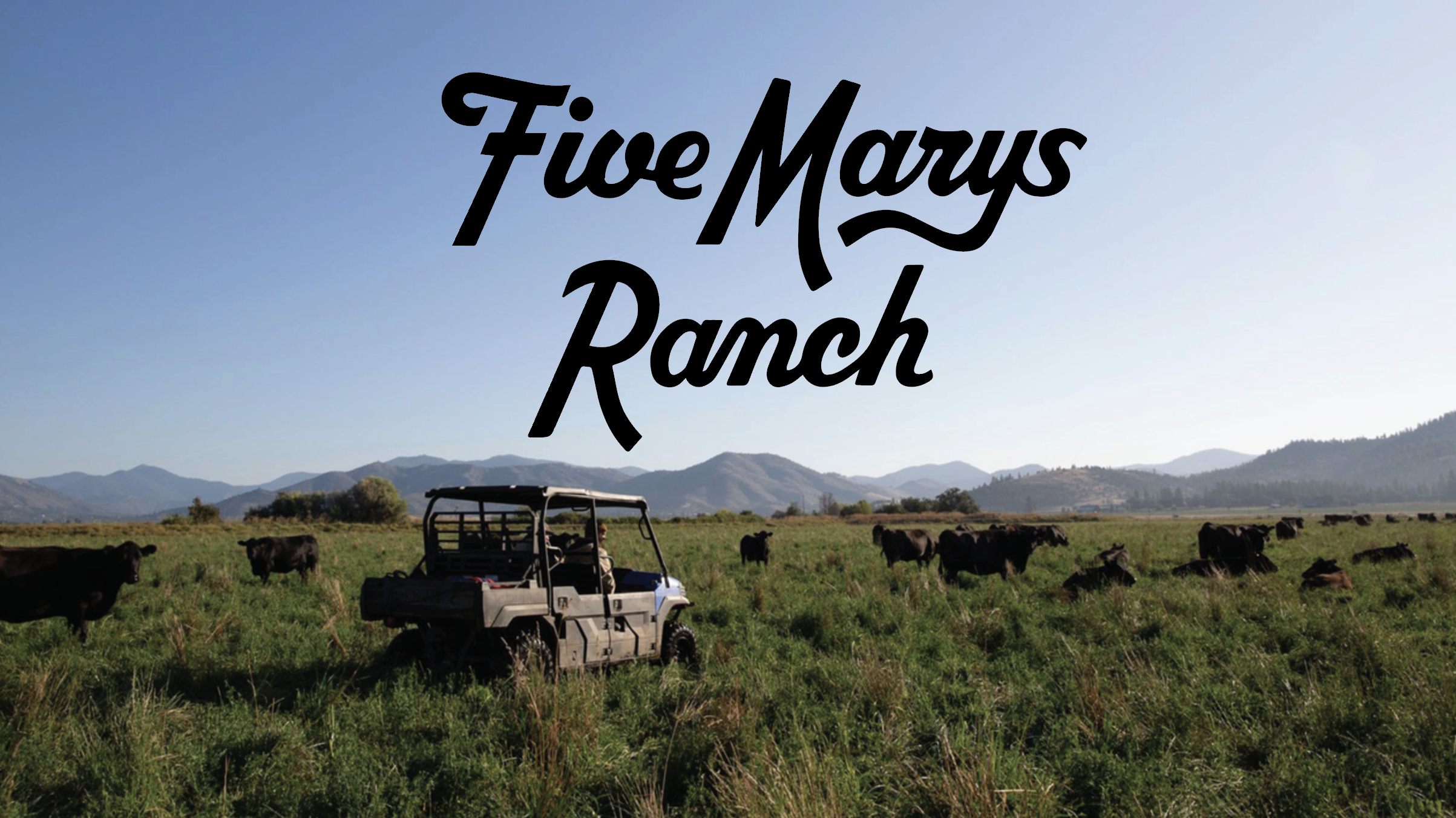 ABOUT US — FIVE MARYS RANCH