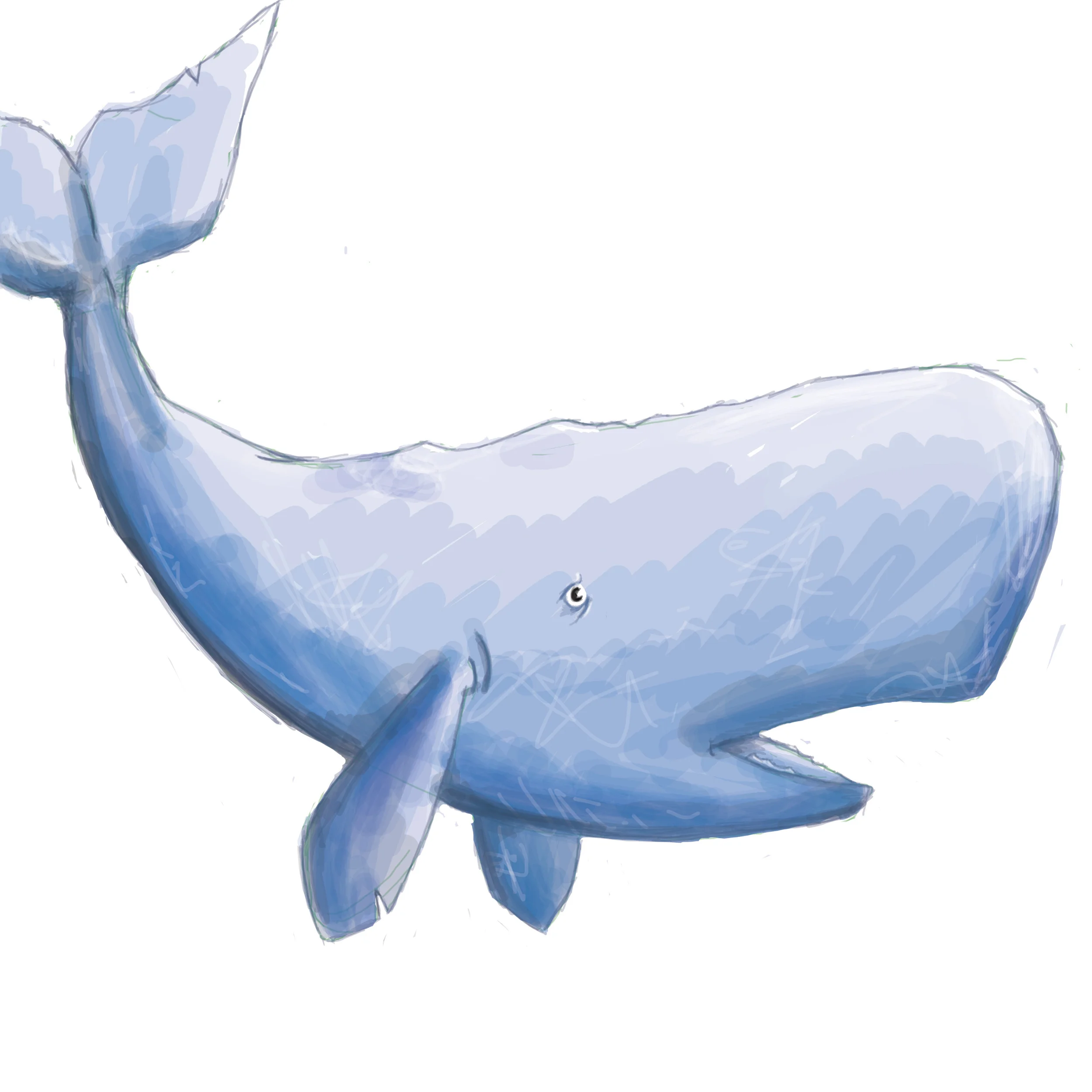 whale copy.jpg