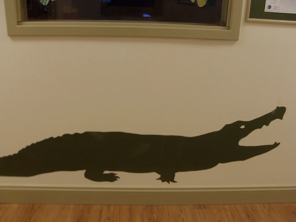 animals 010.JPG