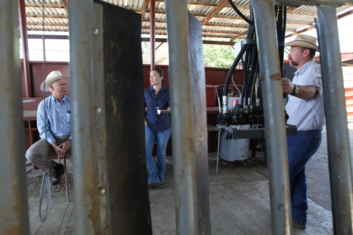 Nadworny9003 copy.JPG