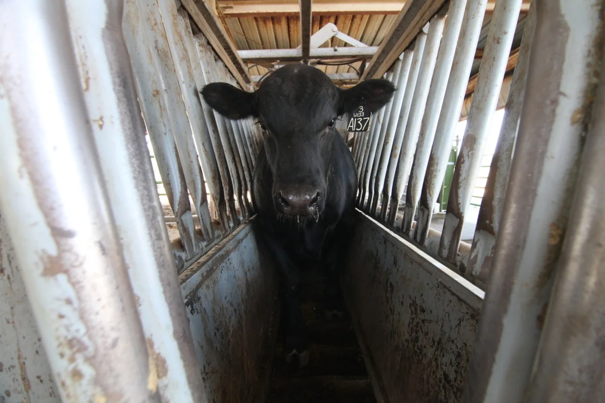 Nadworny0836 copy.JPG