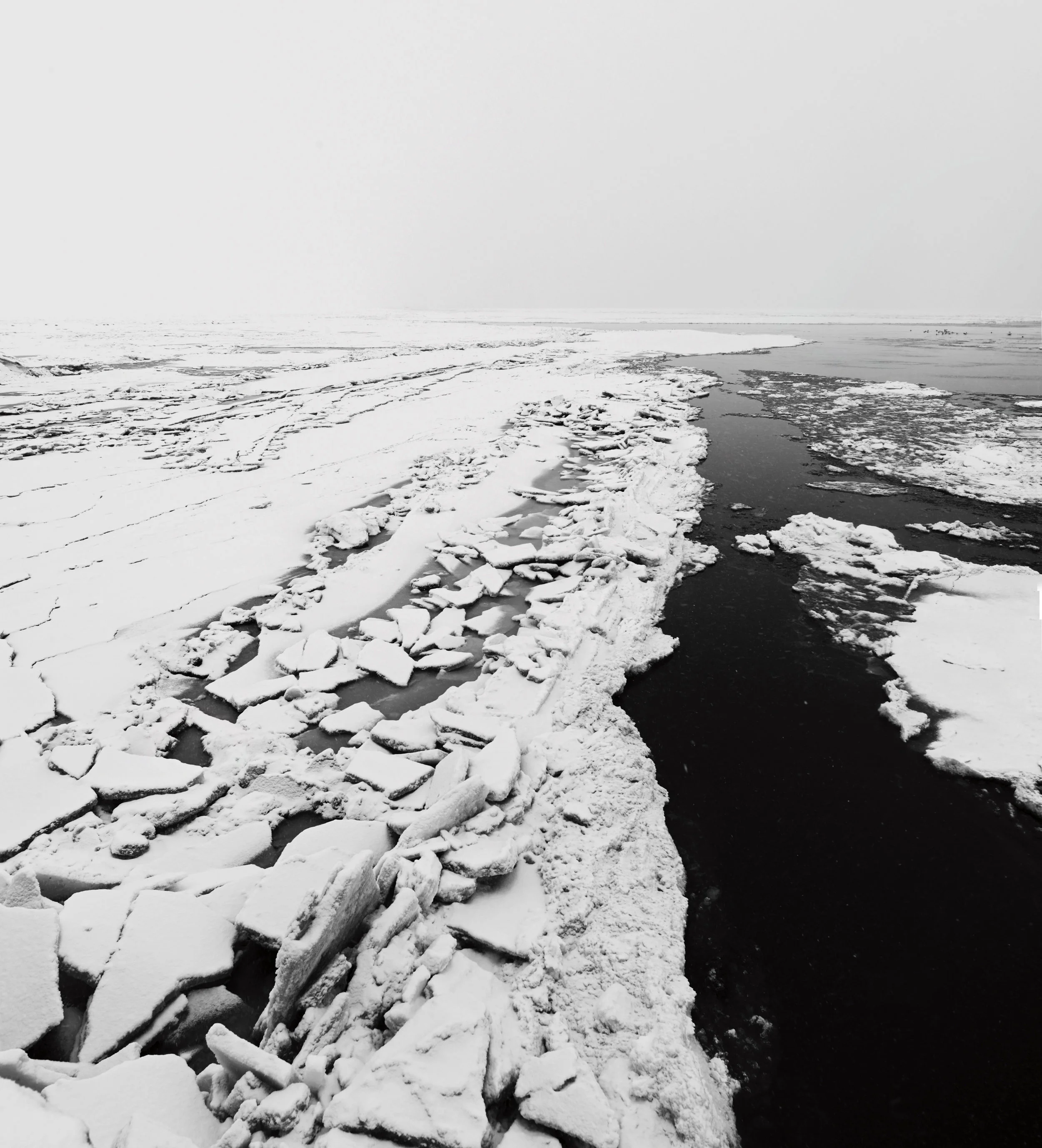 Frozen_Hudson_2015_v2.jpg