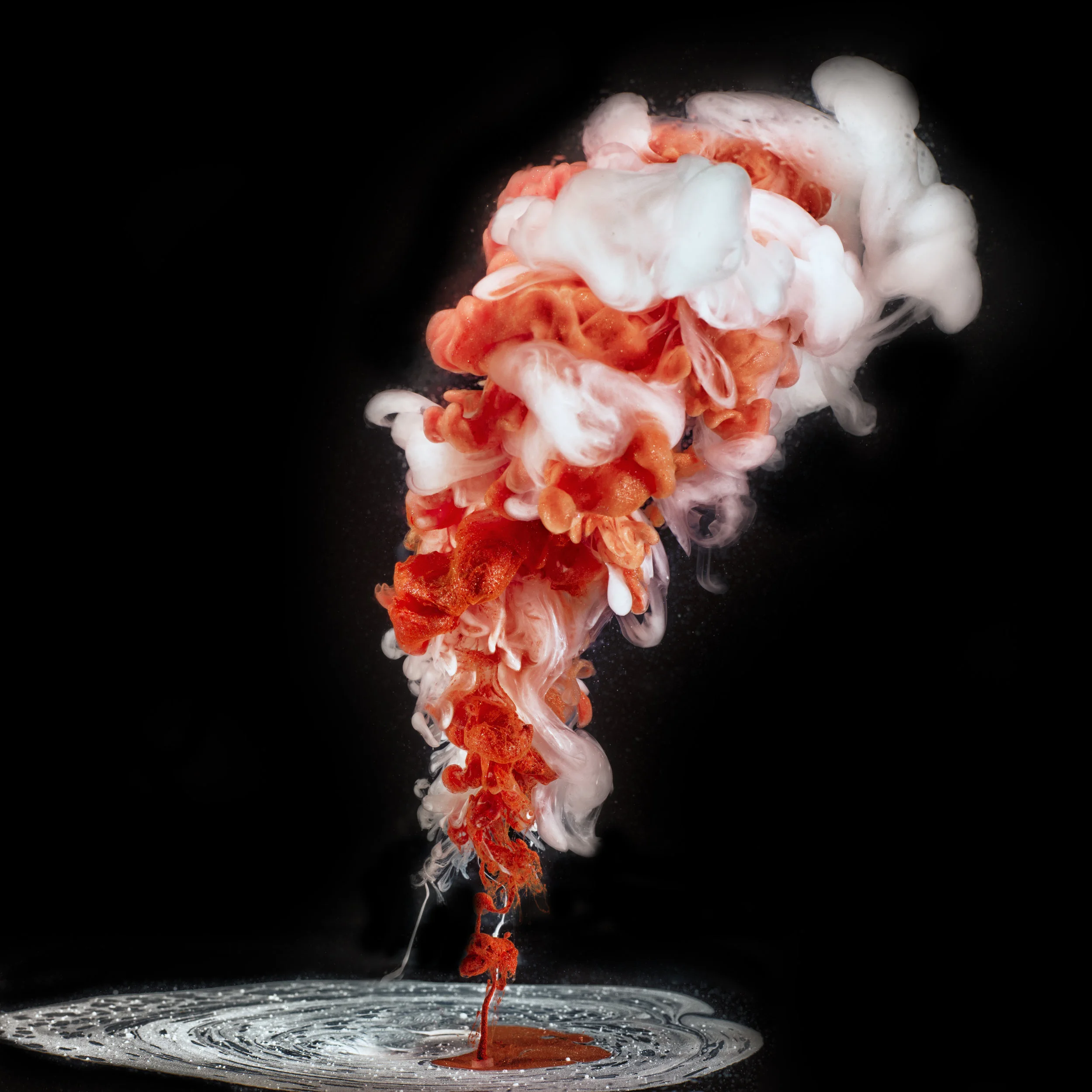 Ink_Drop_Tank_8.17_3749.jpg