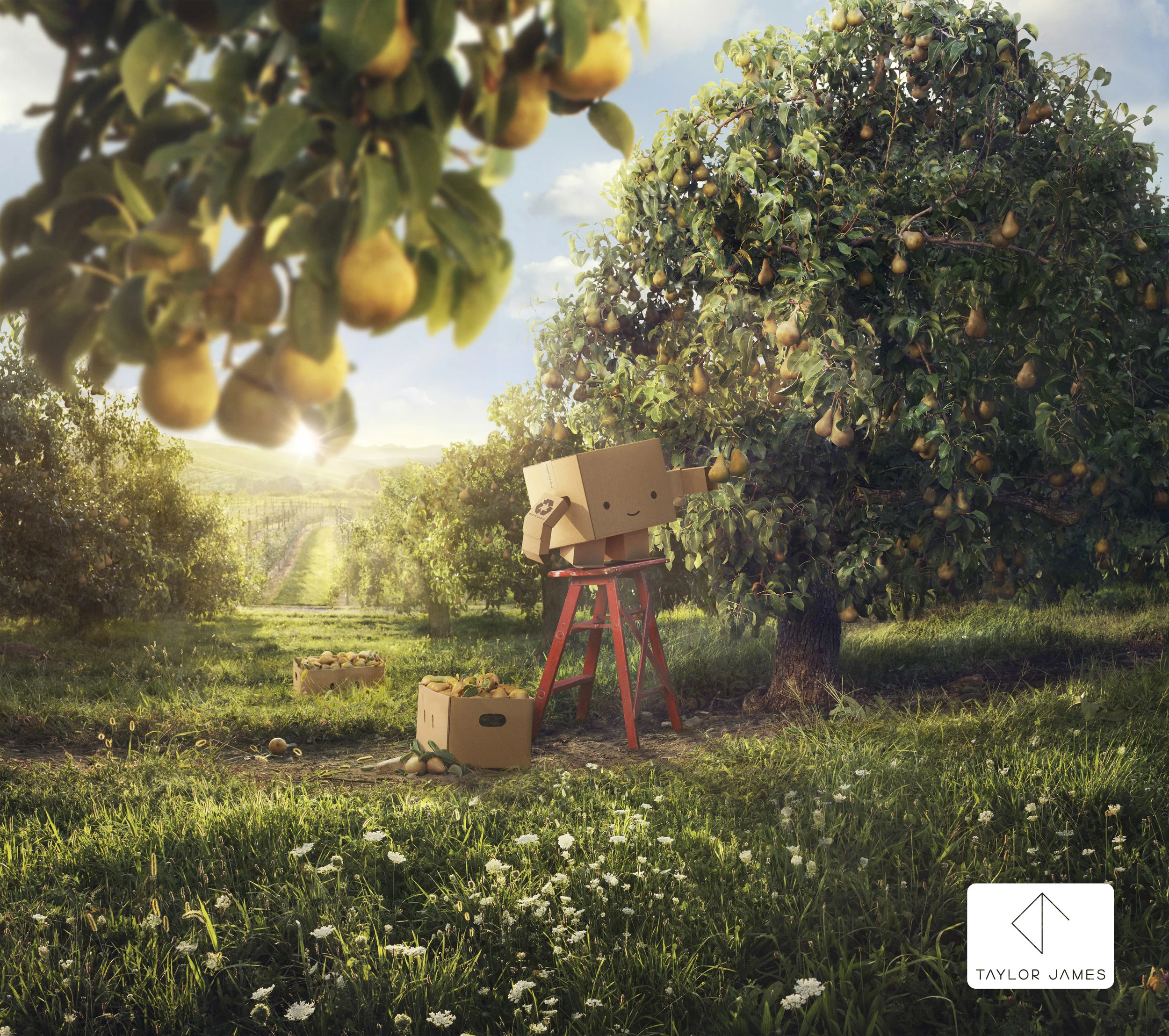 17_3982_CRAMERKRASSELT_PPB_PEARS_S01_ORCHARD_W11_F_RGB-hpr.jpg