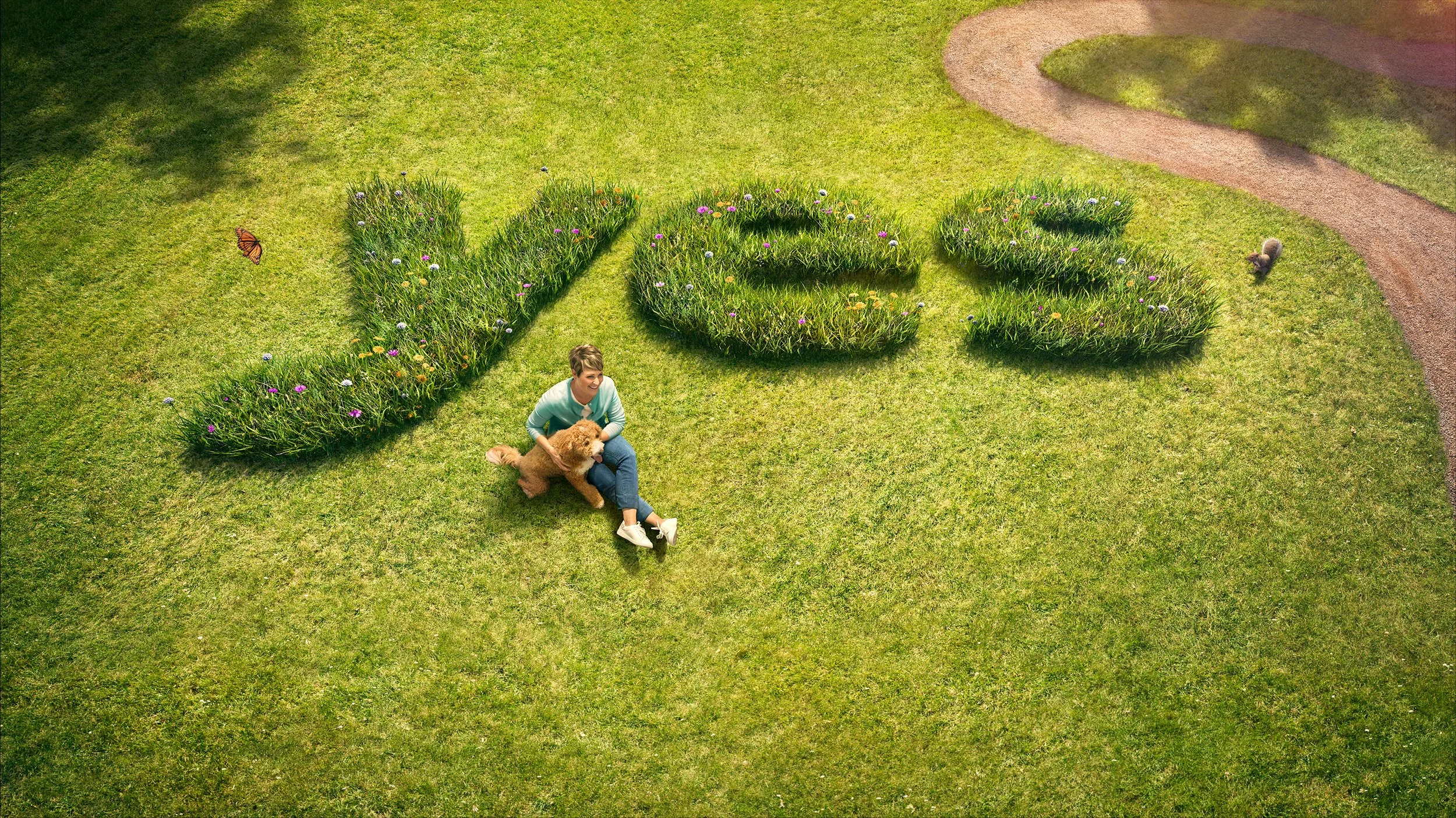 17_3943_Link9_Tecfidera_YES_grass_6x9_jc1 copy.jpg