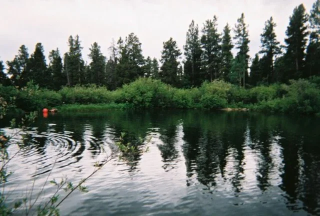 Swimming Pond.jpg