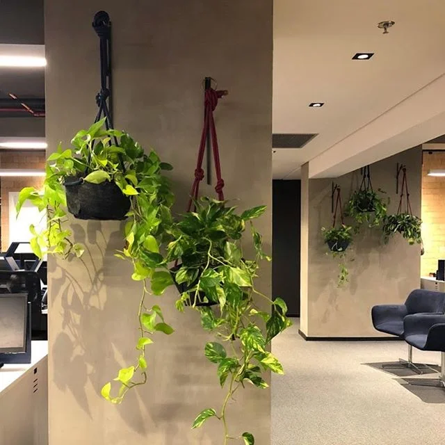 Neste projeto corporativo os vasos da @goma.atelie est&atilde;o por todos os lados! O verde estar&aacute; presente na rotina dos colaboradores, que j&aacute; est&atilde;o montando um time para cuidar das plantas! @tecopaisagismo 🌱💚 #projeto #asas #