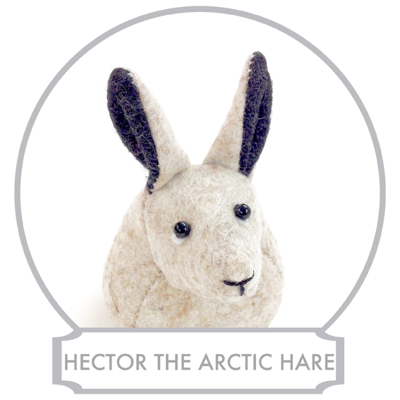 Hector The Arctic Hare