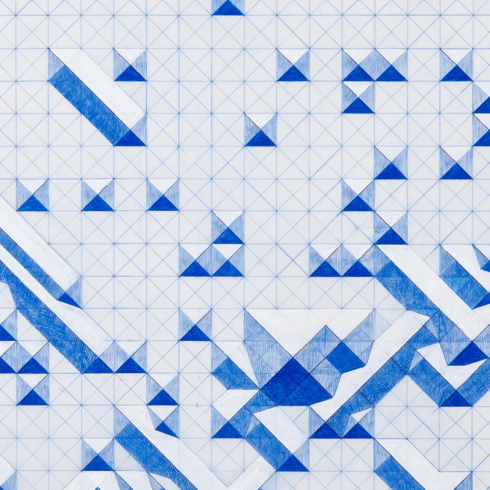 Positive ID (detail) (2011)