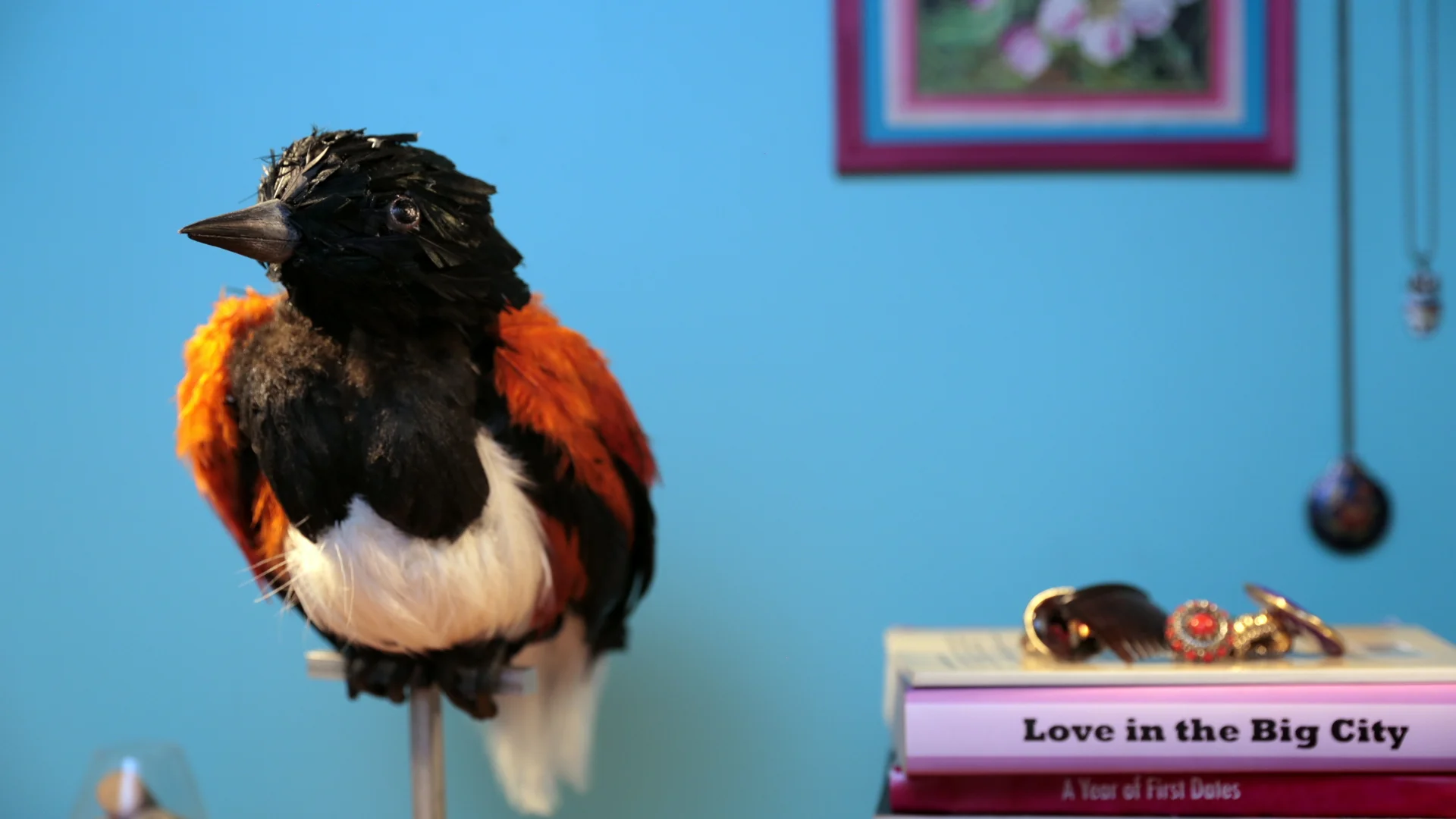 Bird01.jpg
