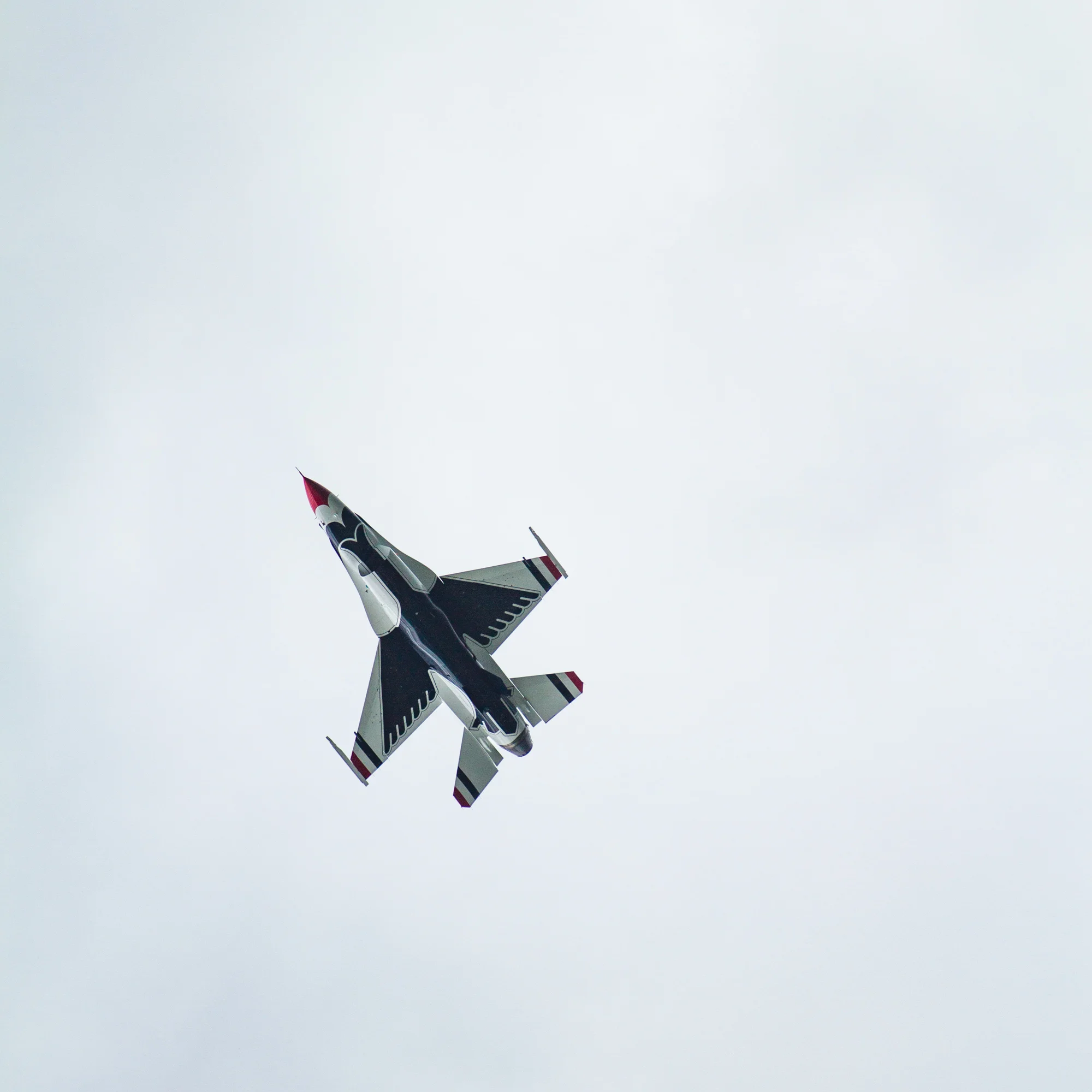 IMG_1969.jpg