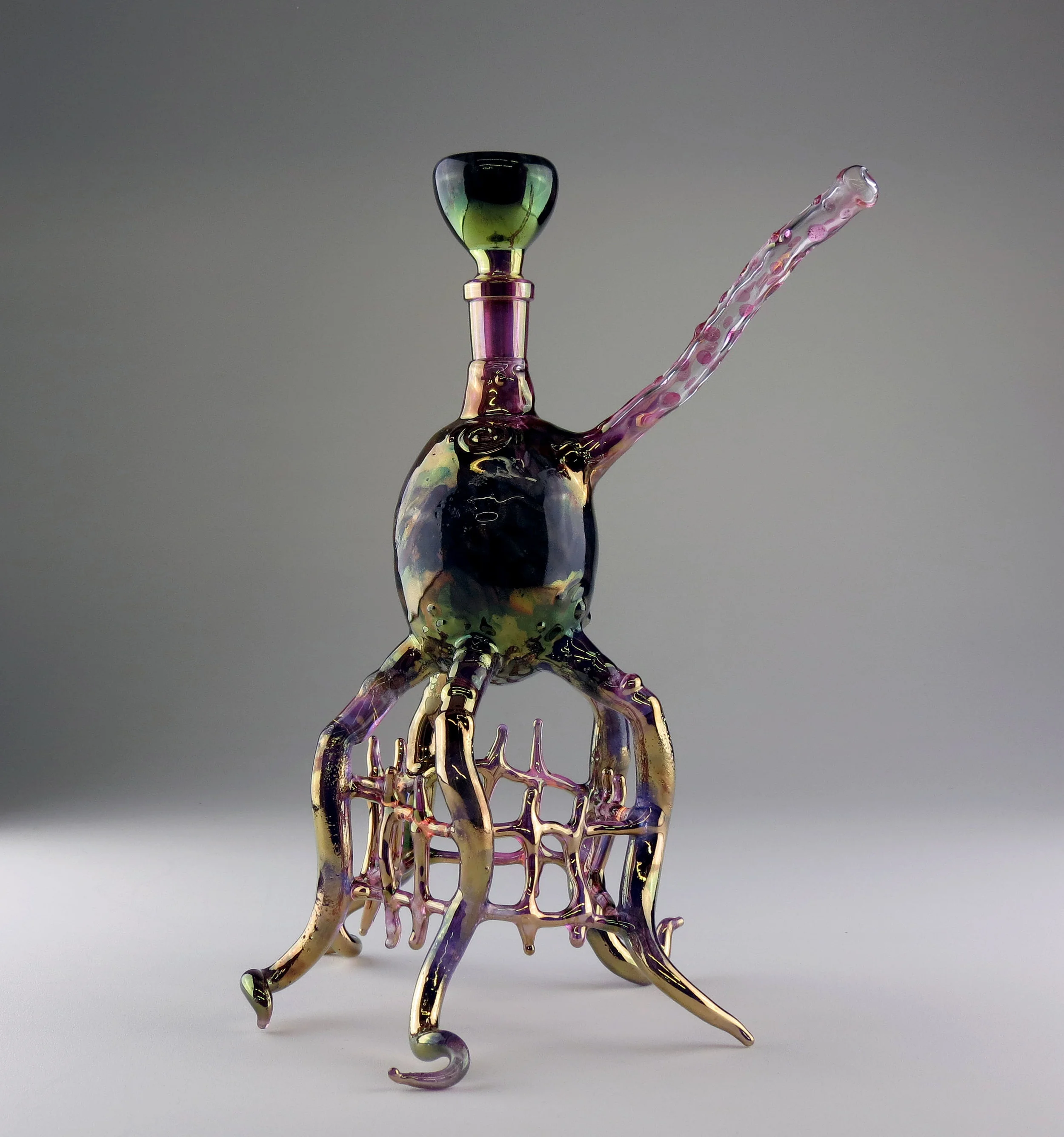 Webby Nephridian Megaspore