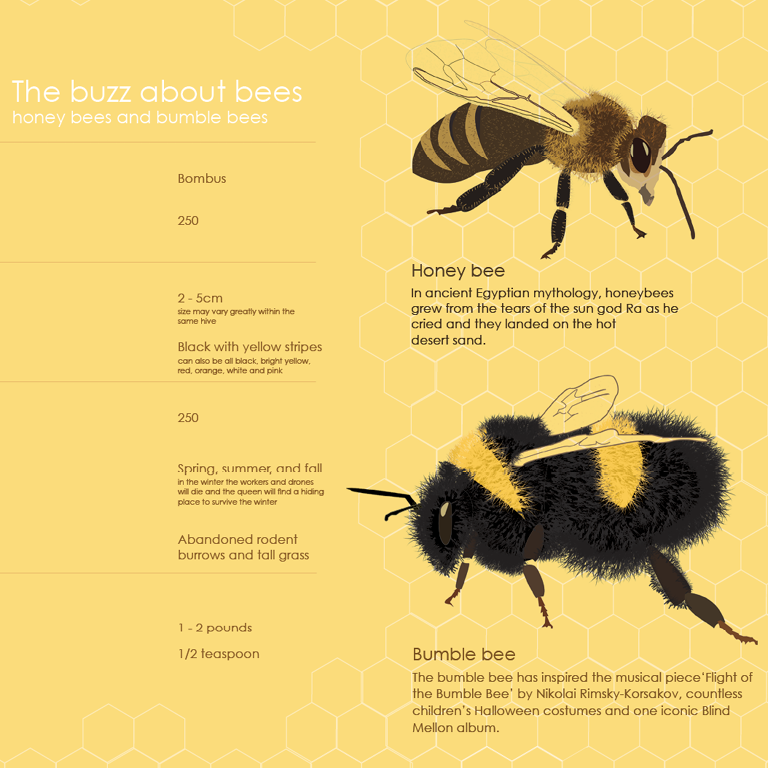 Communication Design