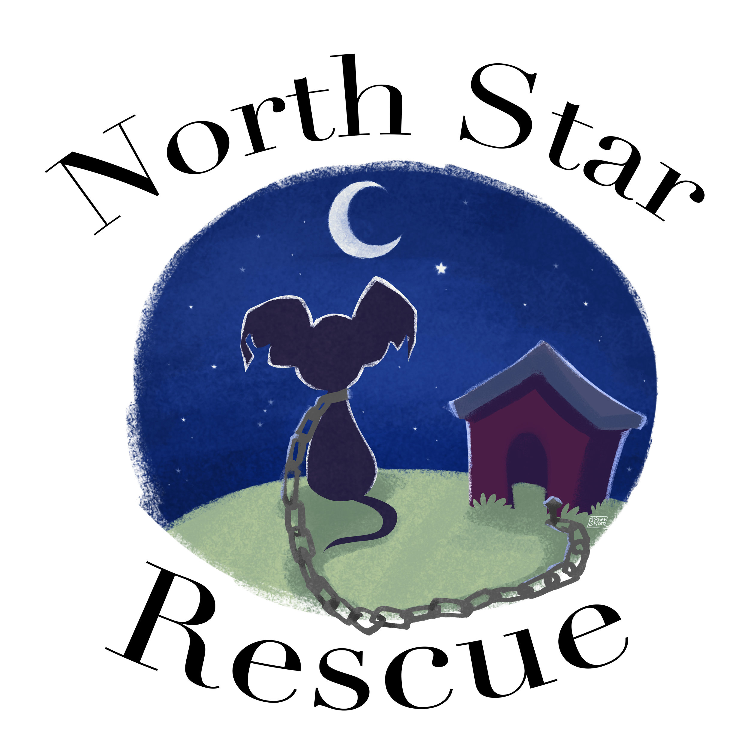 Blue_logo_NorthStar.jpg