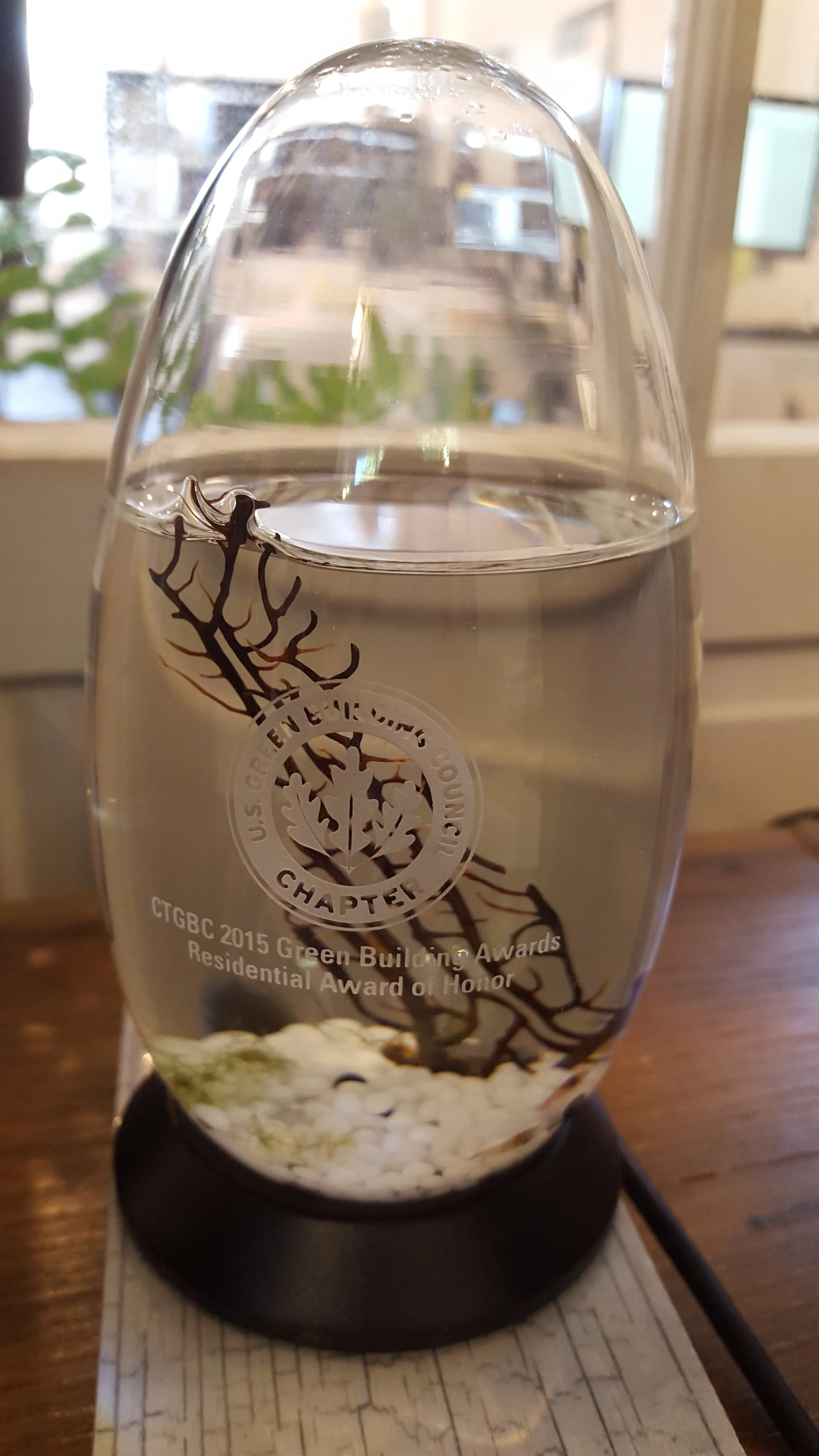 This is the award itself. It is a biosphere. It is a sealed environment that will live on without any input from me. Basically there are little shrimp in there, and water, and algae. The shrimp eat the algae, and their poop then fertilizes the algae, same with the oxygen - carbon dioxide. Symbiosis! I hear a rumor that someone has one that is 15 years old! I just have to keep it out of direct sunlight or the algae will grow too big and the balance will be ruined. Also the shrimp could get too hot.