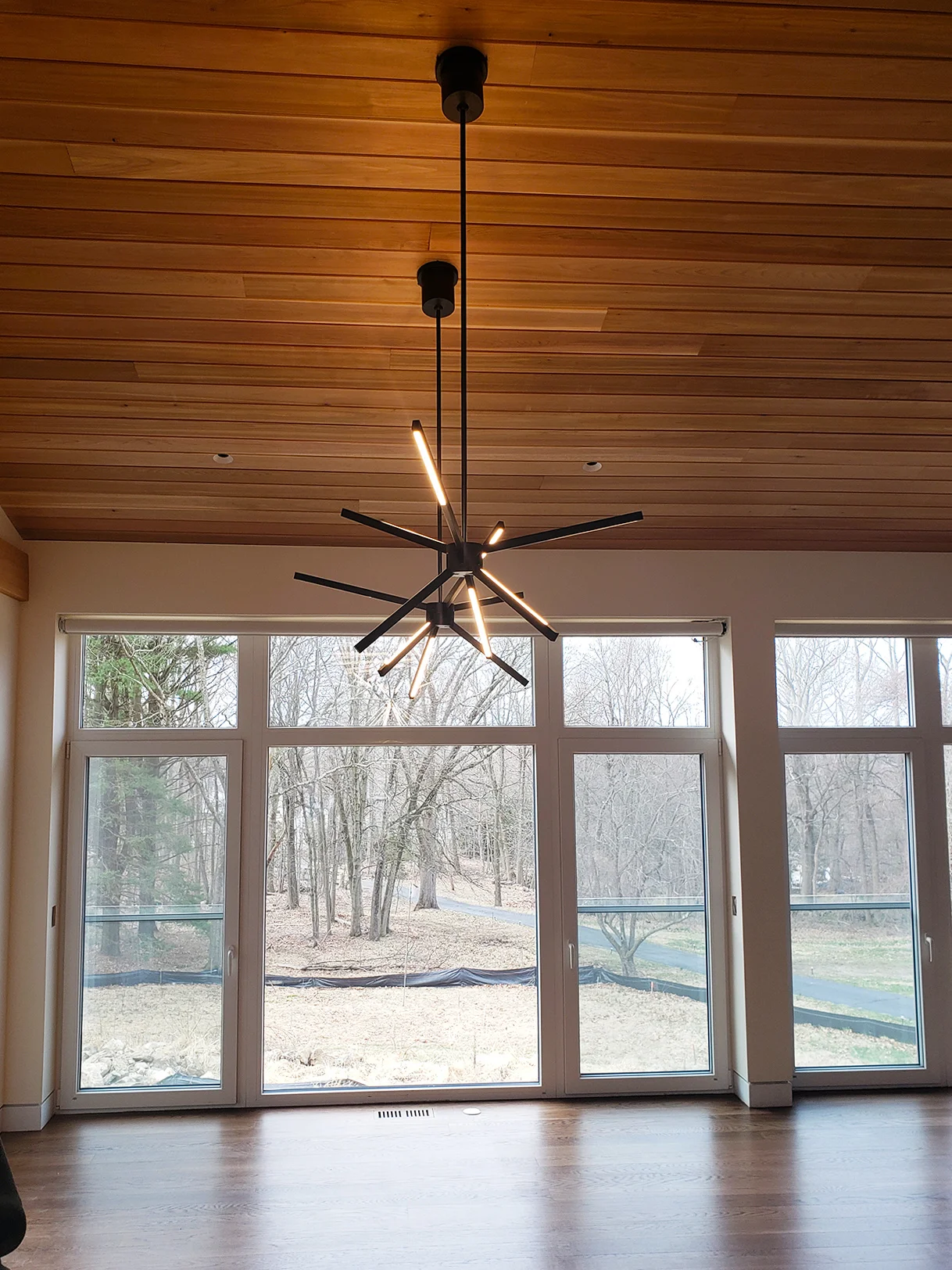 dining room window and chandelier 4.11.19.jpg
