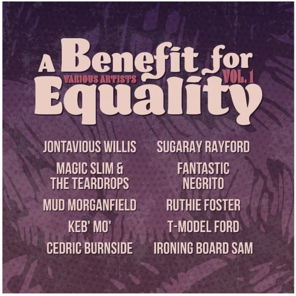 VA-A Benefit For Equality Vol. 1 edit.jpeg
