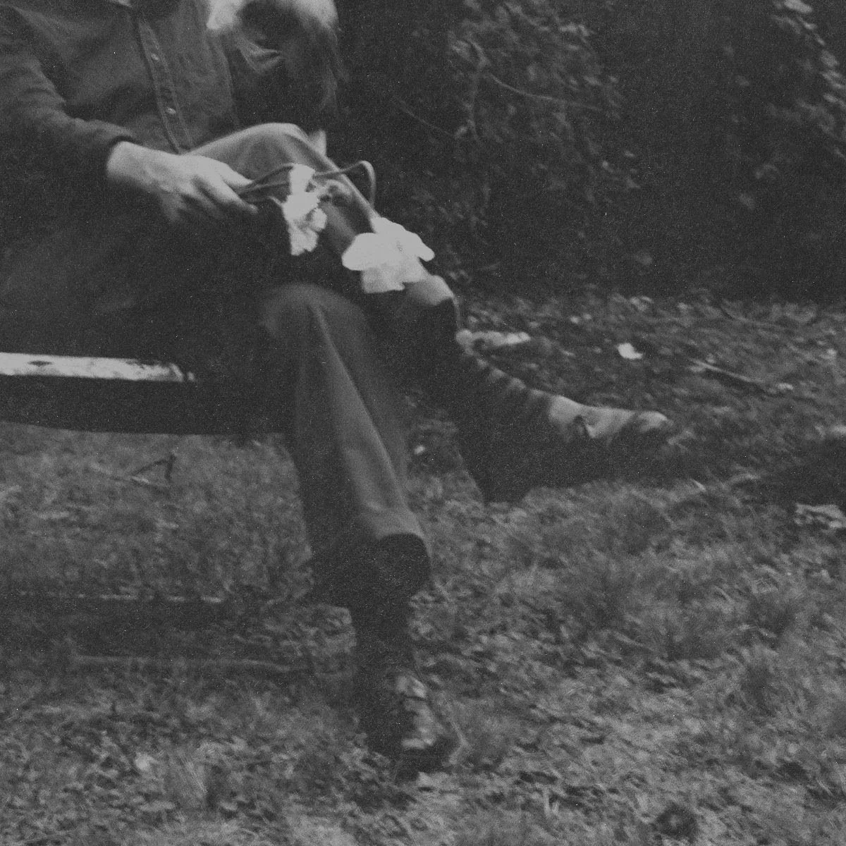 NEEDTOBREATHE - The Long Surrender (Preorder - Out 3/27/2026)