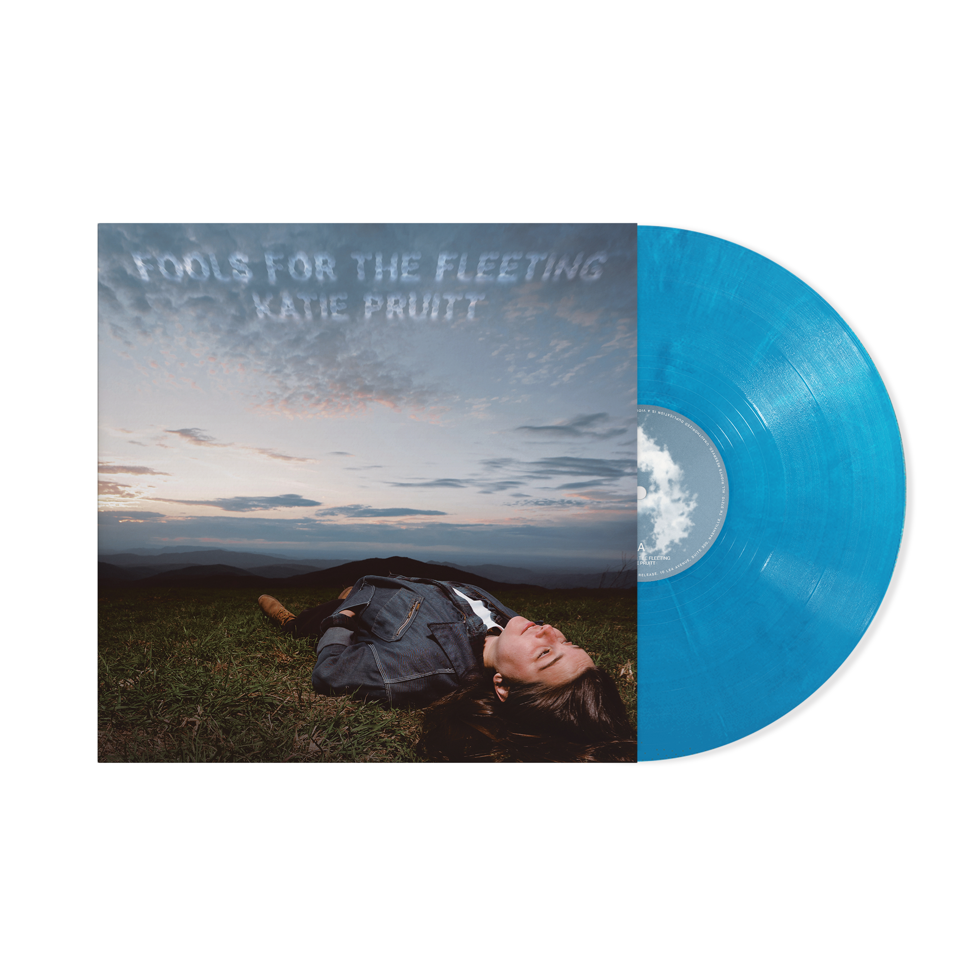 KatiePruitt_FoolsForTheFleeting_EcoBlue_WideStandard.png