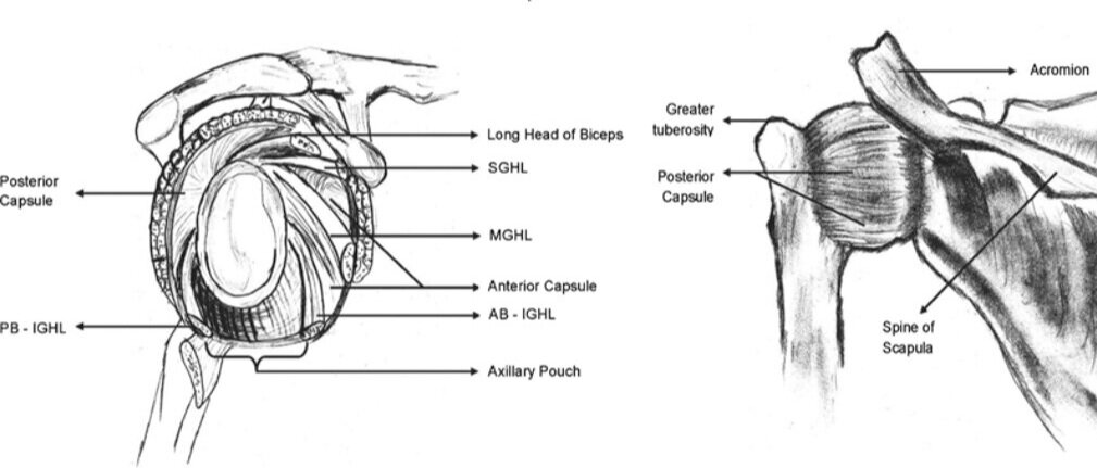 Image courtesy of US National Library of Medicine